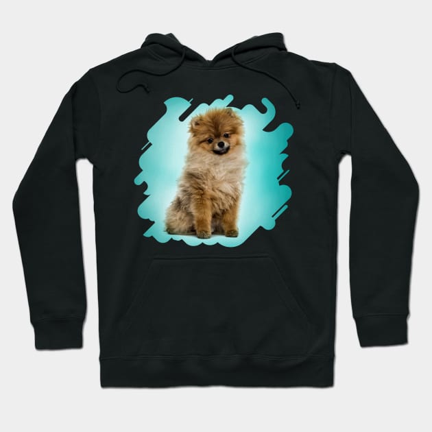 Cute Pomeranian German Spitz Hoodie by Nartissima